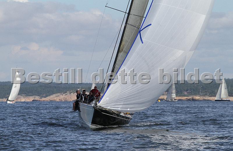 ORCi2 242.jpg